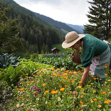 Hotel Mareo Dolomites سان فيجيليو دي ماريبْ المظهر الخارجي الصورة